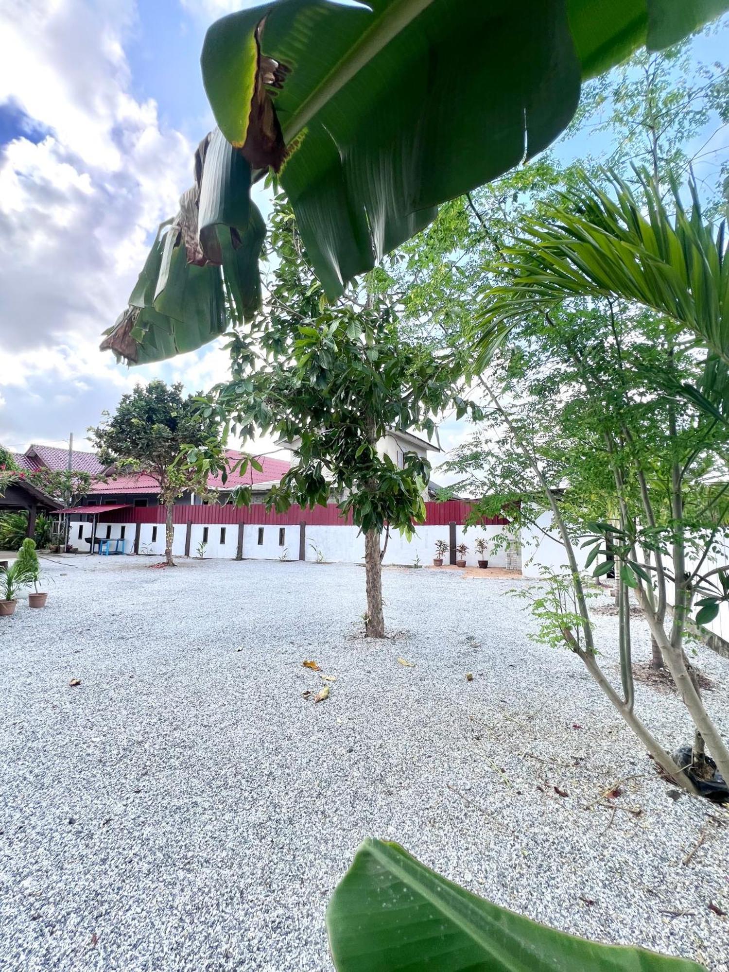 Teratai Homestay 3 Batu Buruk Kuala Terengganu Buitenkant foto